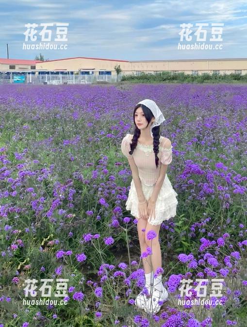 看看，51吃瓜挂上永久域名，观众的嗓门跟着涨了！