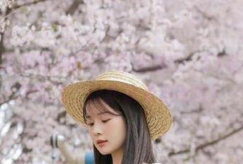 视频下载新技巧，51吃瓜网带我飞，让我边看边吃瓜！