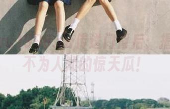 998.su传送门背后：揭开那些不为人知的惊天瓜！
