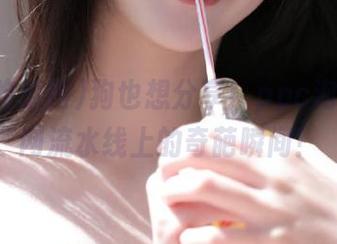狗也想分享！ppc泡泡吃瓜网流水线上的奇葩瞬间！