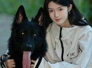 不得不说，每次打开“zztt45.su黑料不打烊”都能分享个八卦，简直像是坐云霄飞车。