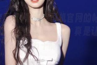黑料老司机官网的帖子让我想起一场未曾结束的游戏，真是让人感慨万千啊！